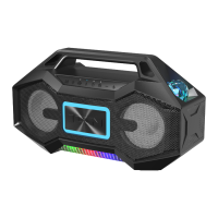 Preview: ION Party Rocker Go