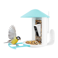Preview: Netvue Birdfy Feeder