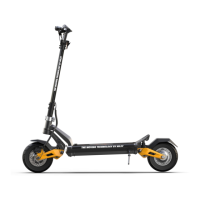 Preview: Tiger T10