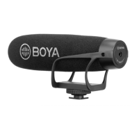 Preview: Boya BY-BM2021
