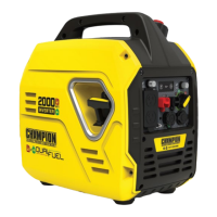 Preview: Champion Global Power Equipment 100900