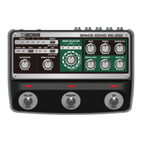 Preview: Boss Space Echo RE-202