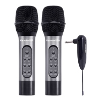 Preview: Karaoke USA WM906