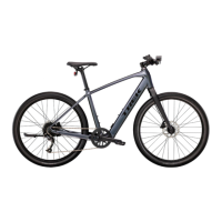 Preview: Trek 2023 FX+