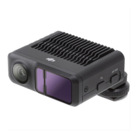 Preview: dji LiDAR Range Finder