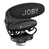 Preview: Joby Wavo PRO