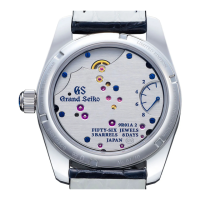 Preview: Grand Seiko Spring Drive Series