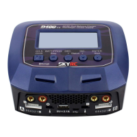 Preview: Skyrc D100 V2