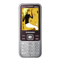 Preview: Samsung GT-C3322I