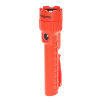 Preview: NightStick NSP-2422R