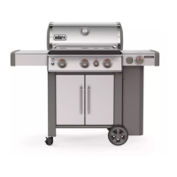 Preview: Weber S-335