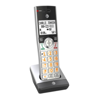 Preview: AT&T CL80107