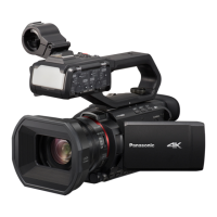 Preview: Panasonic AG-CX10