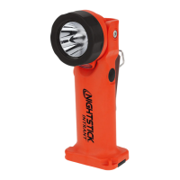 Preview: NightStick Intrant XPP-5566RX