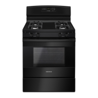 Preview: Amana AGR6603SFB