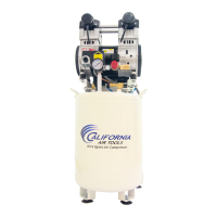 Preview: California Air Tools 10020DCAD