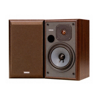 Preview: Yamaha NS-2