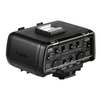 Preview: Panasonic LUMIX DMW-XLR1E