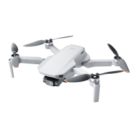 Preview: dji Mini 2