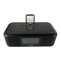 Preview: iHome iDL95