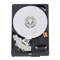 Preview: Western Digital Caviar Series