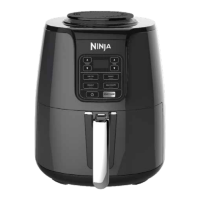 Preview: Ninja AF101