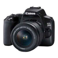 Preview: Canon EOS 250D