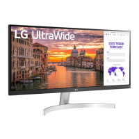 Preview: LG 29WN600