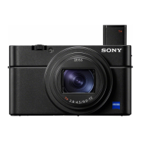 Preview: Sony Cyber-shot RX100 VII