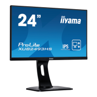 Preview: Iiyama ProLite XUB2493HS