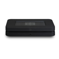 Preview: Bluesound Node 2i