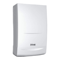 Preview: Ferroli F24E