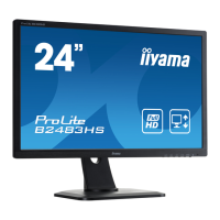 Preview: Iiyama ProLite B2483HS
