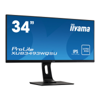 Preview: Iiyama ProLite XUB3493WQSU