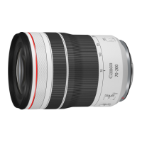 Preview: Canon RF 70-200mm