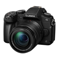 Preview: Panasonic Lumix G Series