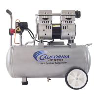 Preview: California Air Tools 8010