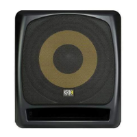 Preview: KRK 10S2