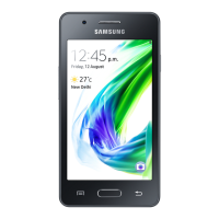 Preview: Samsung Z2