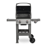 Preview: Weber SPIRIT E220