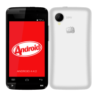 Preview: Micromax Bolt