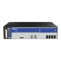 Preview: Hillstone SG-6000 E Series
