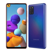 Preview: Samsung SM-A217F/DSN