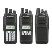 Preview: Kenwood NX-1200AV
