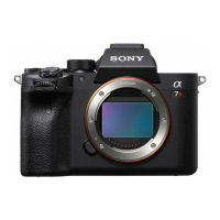 Preview: Sony a7R IVA
