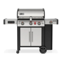 Preview: Weber SX-335