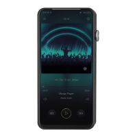 Preview: iBasso Audio DX320