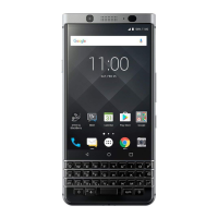 Preview: Blackberry BBB100-1