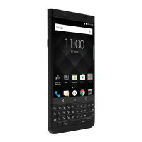 Preview: Blackberry BBB100-2