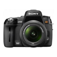 Preview: Sony a500